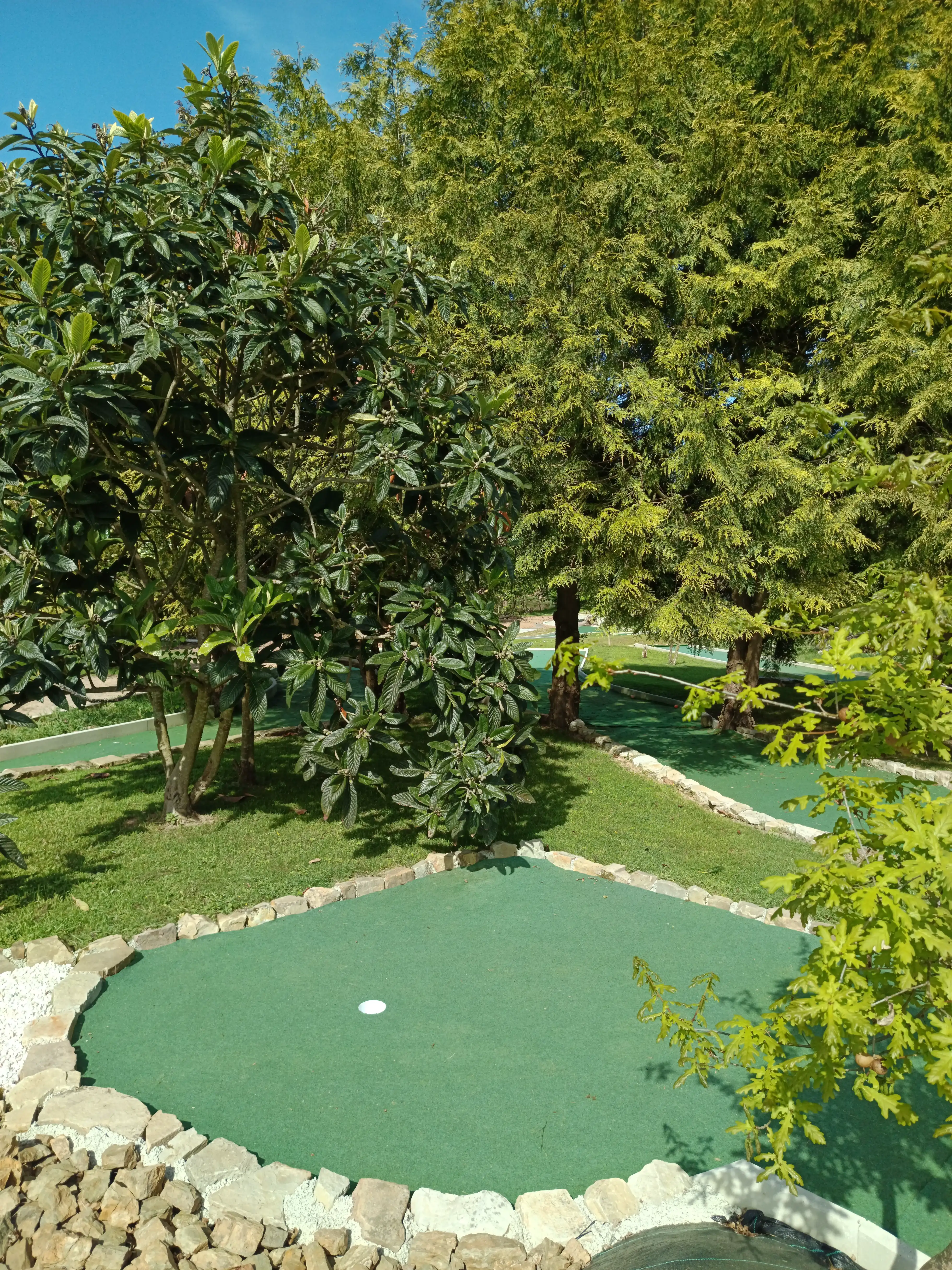 Parcours de Mini Golf